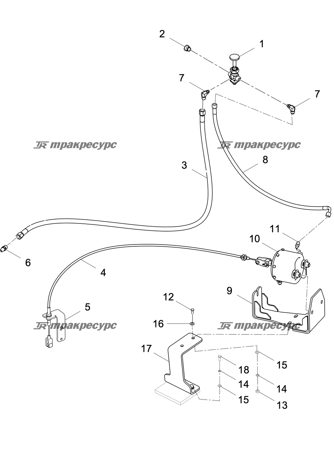 P000108182A2.png