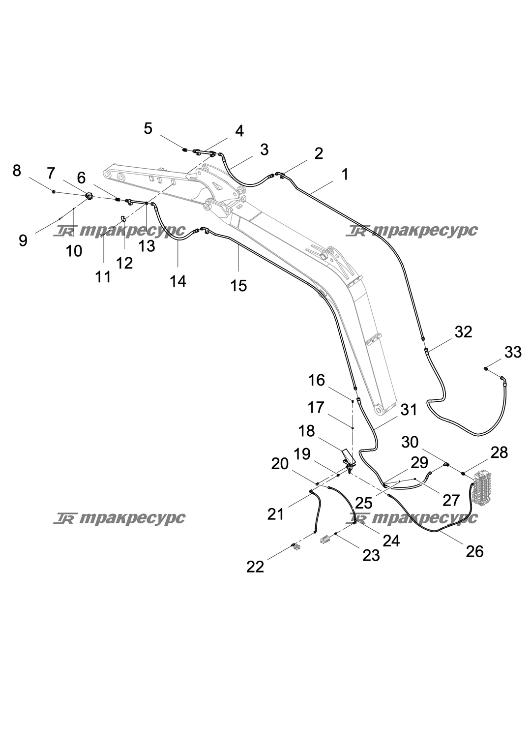 P000110022A2.png
