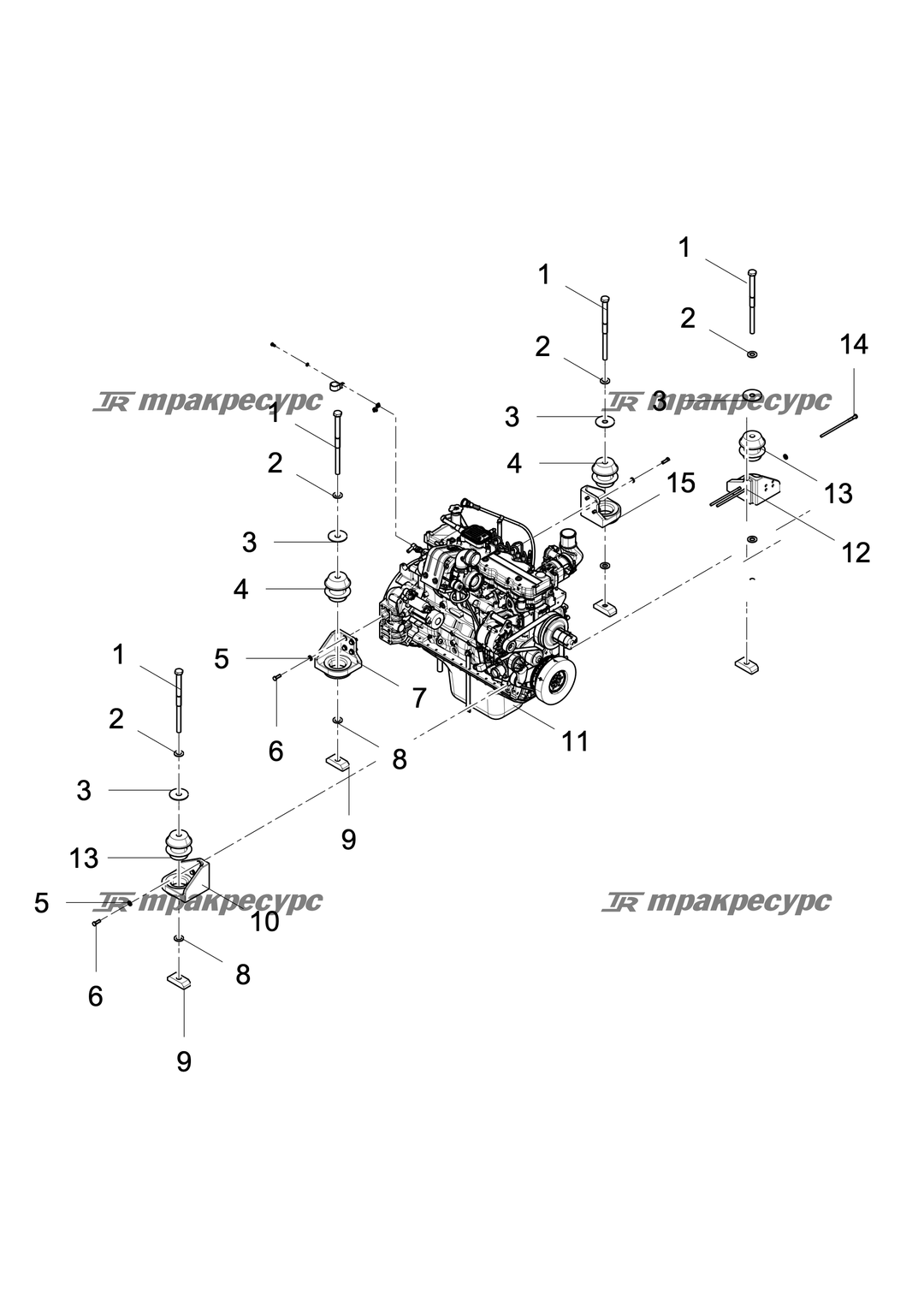 P000111022A2.png