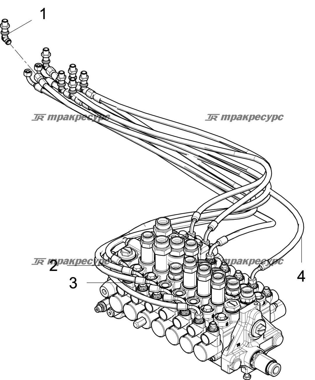 P000117146A2.png