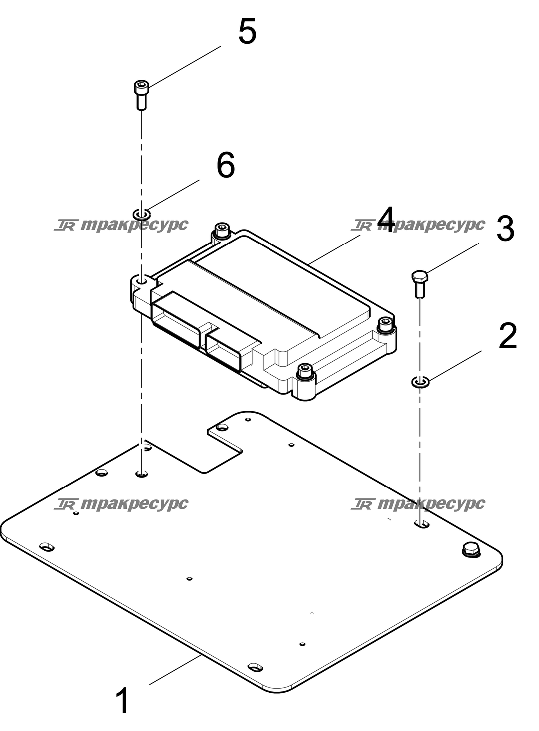 P000117262A2.png