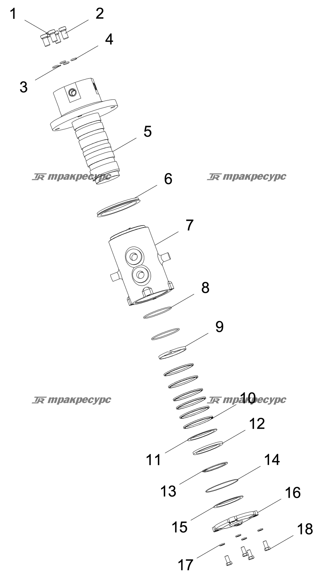 P000117761A2.png