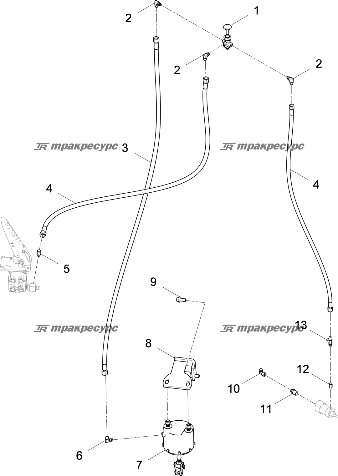 P000117788A3.png