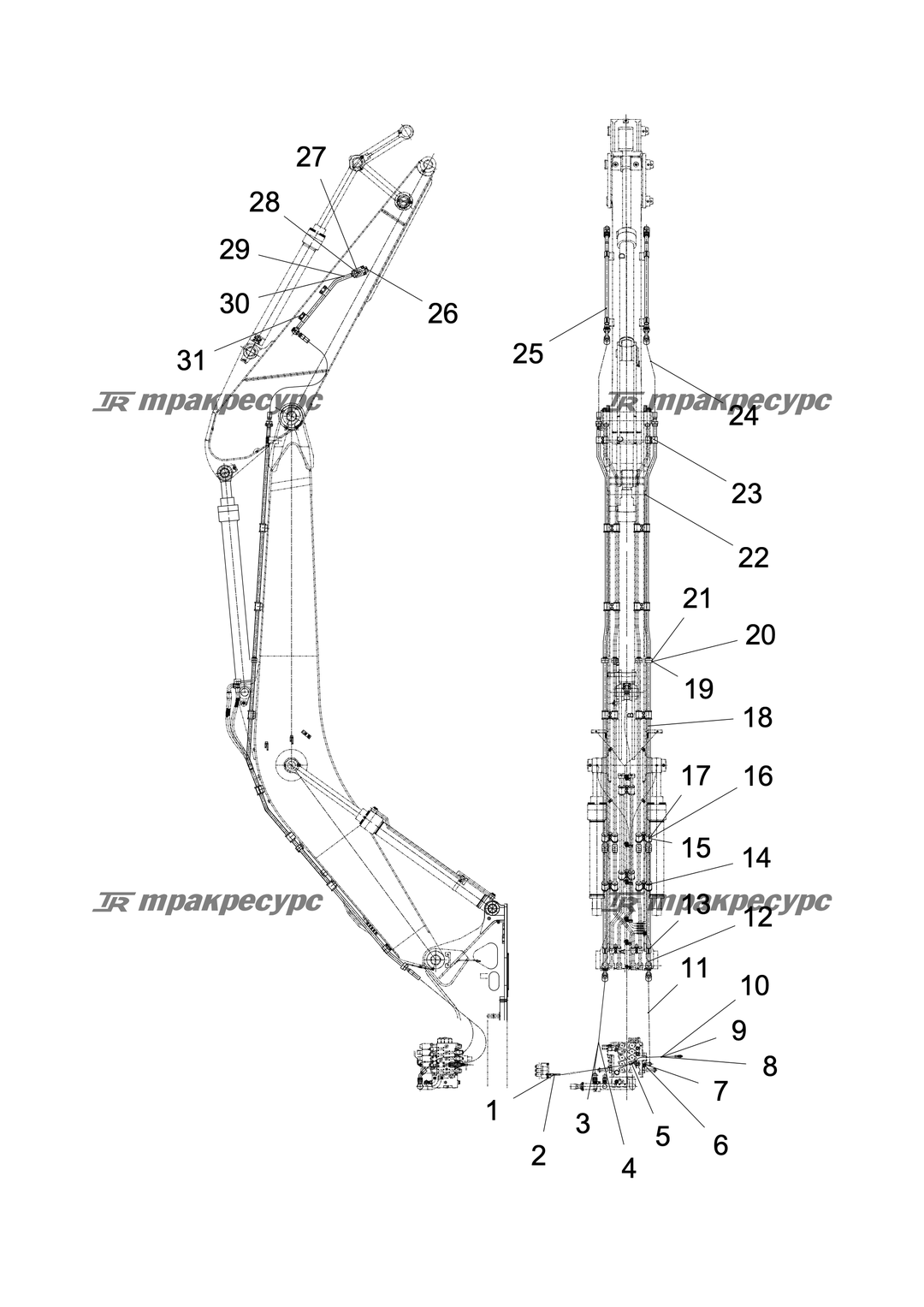 P000117821A2.png