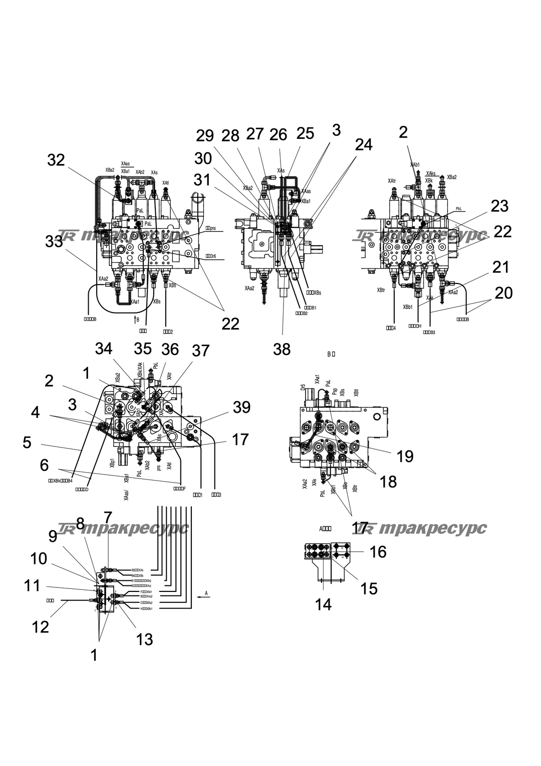 P000117846A2.png