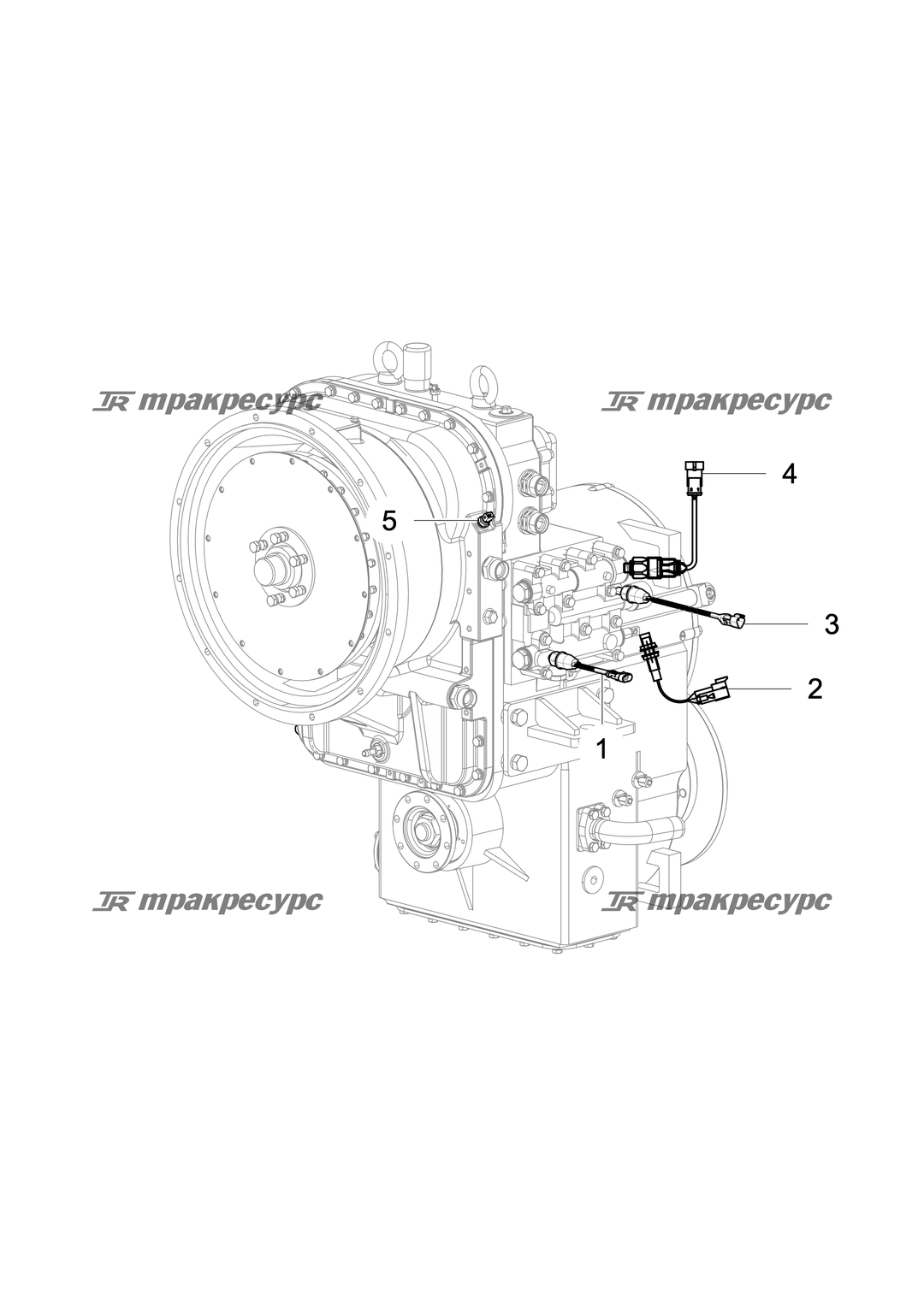 P000117866A2.png