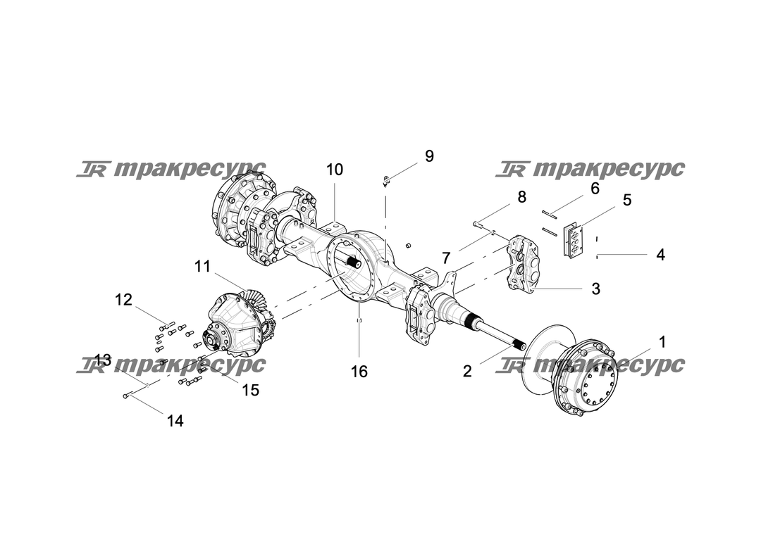 P000117950A2.png