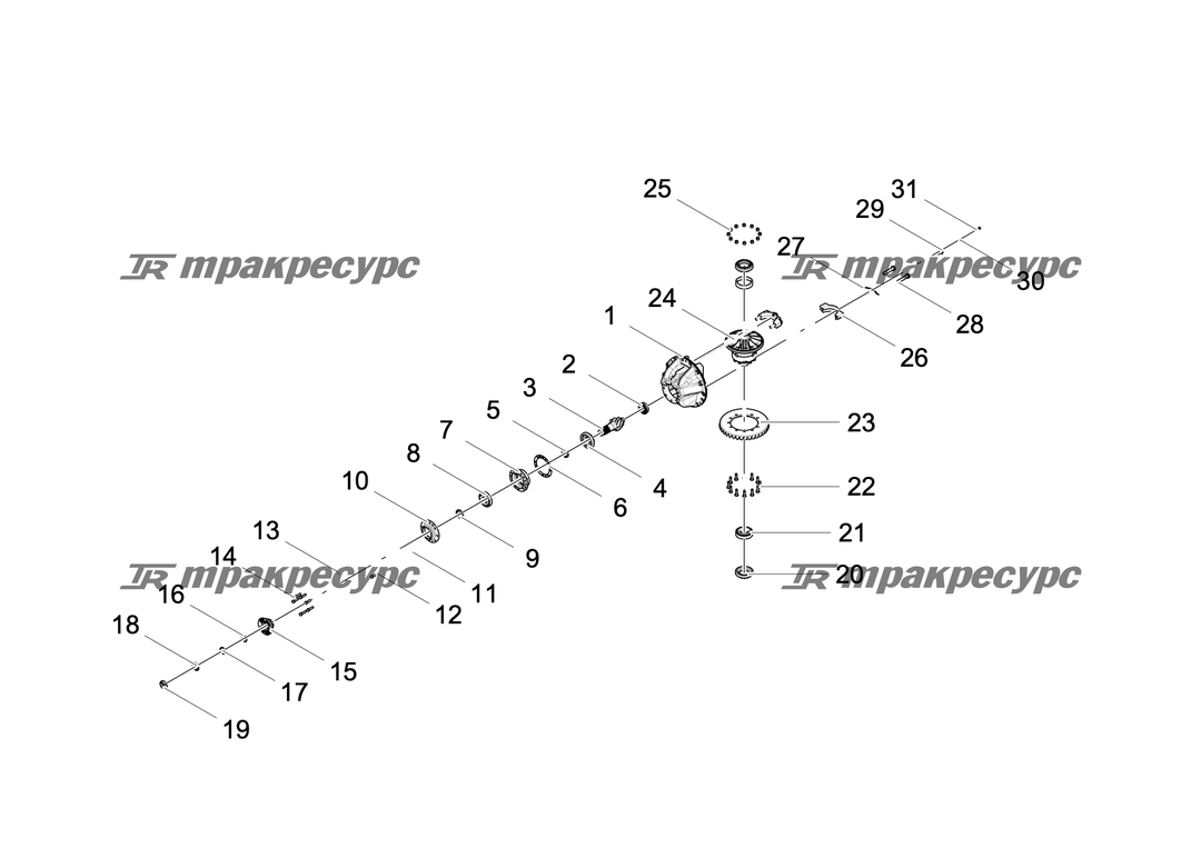 P000117951A2.png
