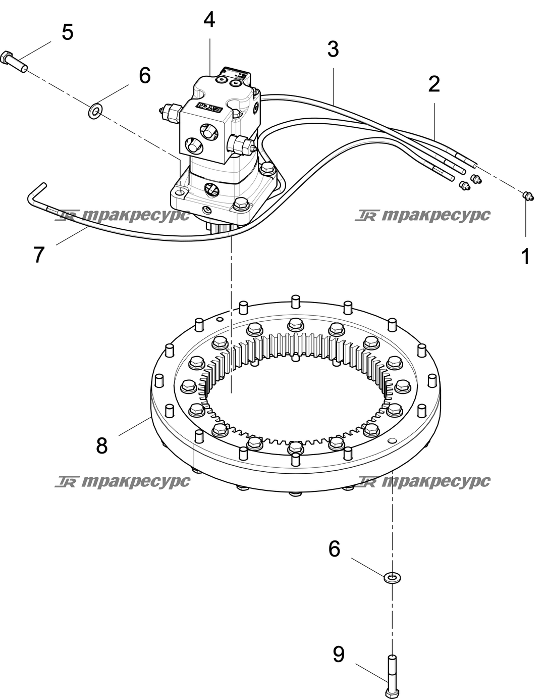P000118210A2.png