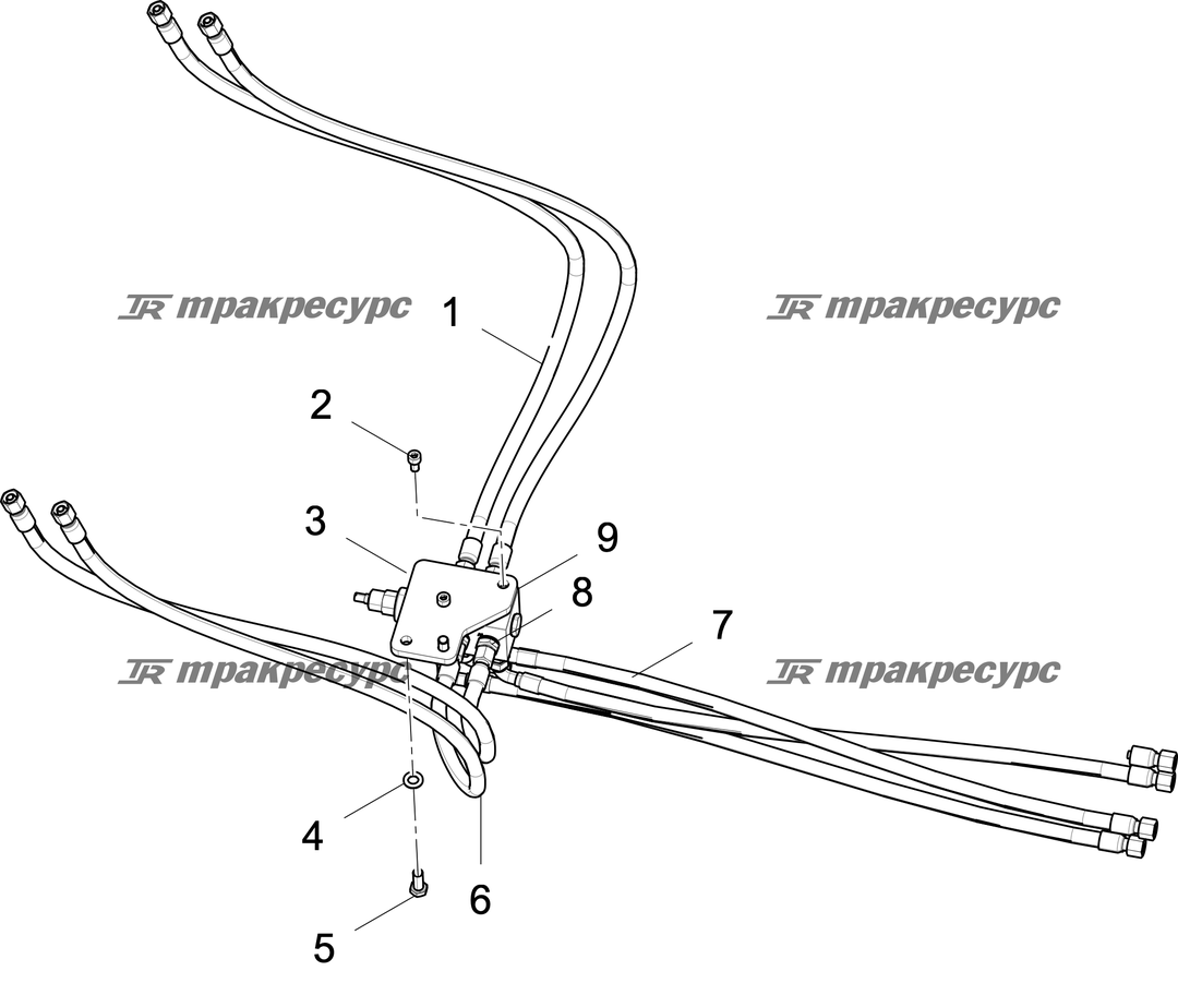 P000118719A2.png