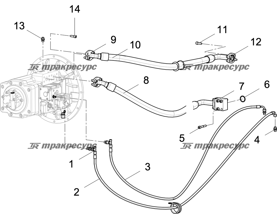P000118956A2.png