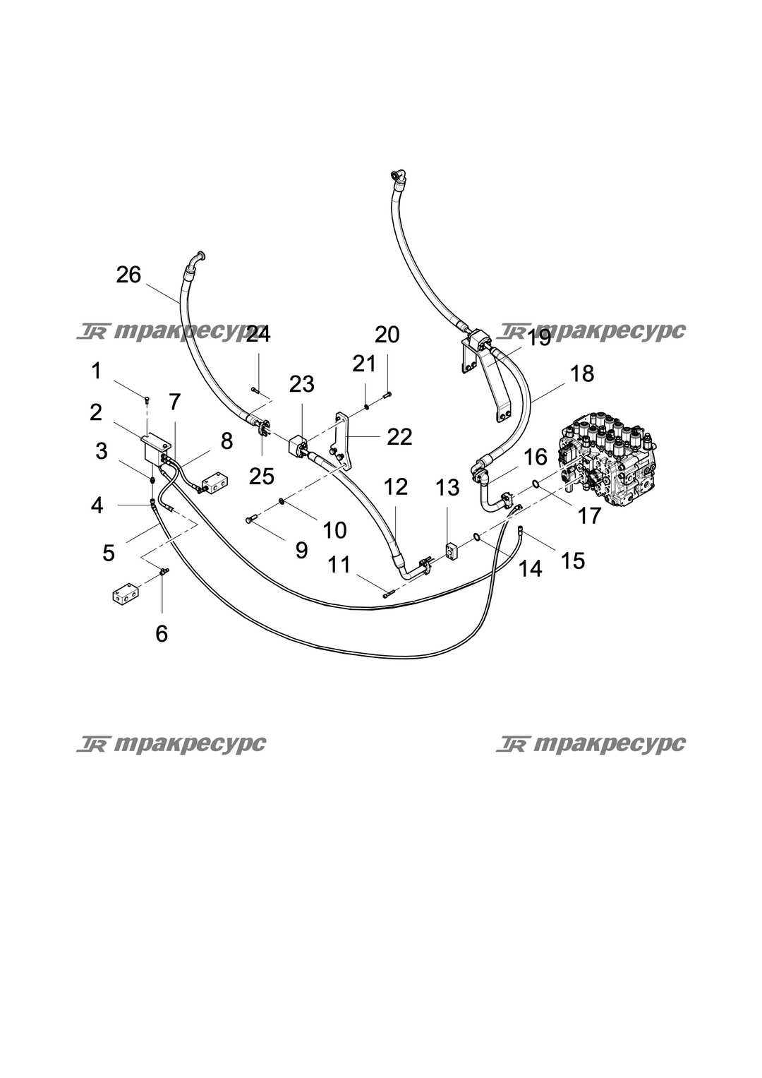 P000118961A2.png