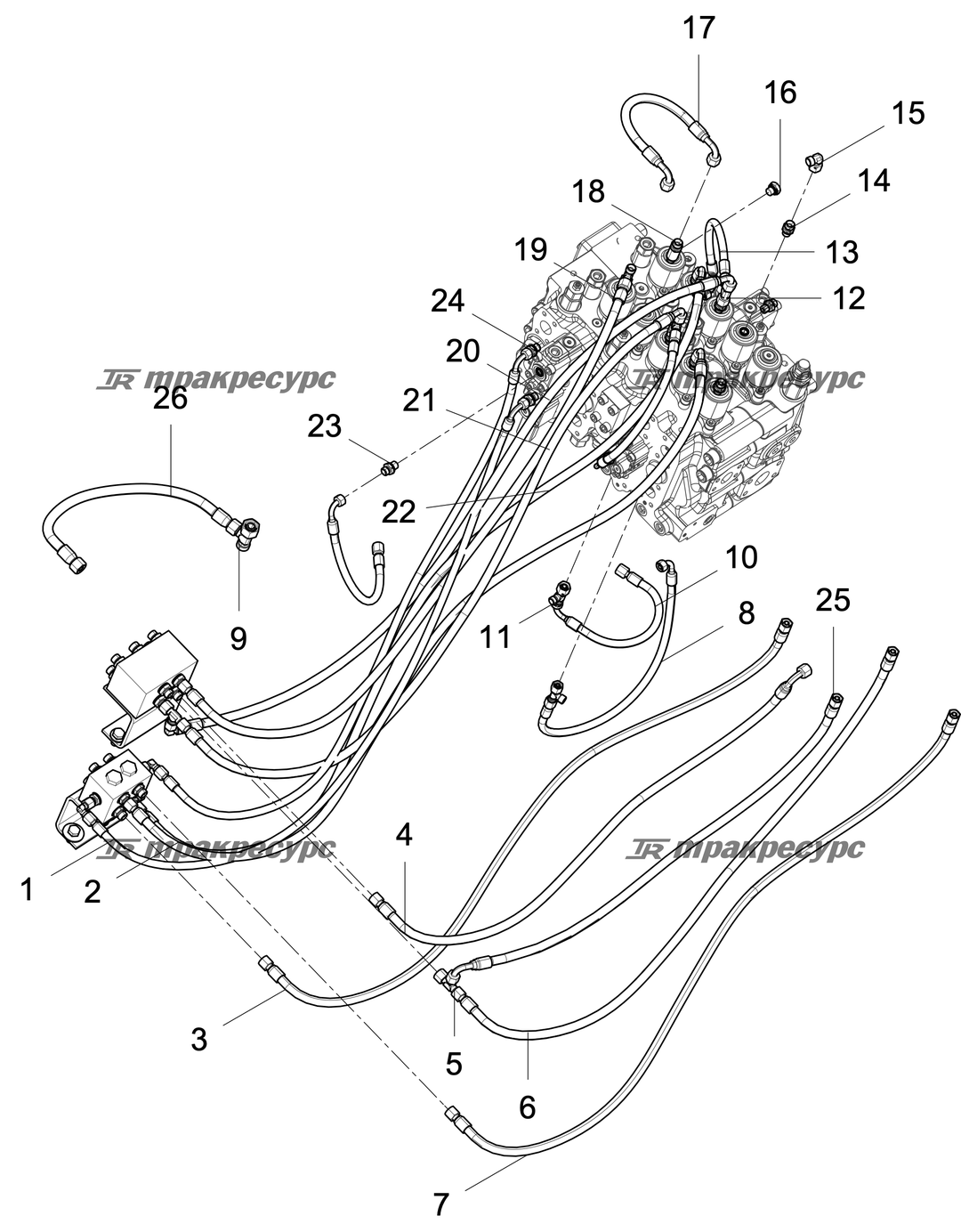 P000118968A2.png