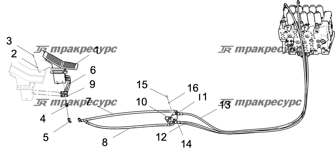 P000119009A2.png