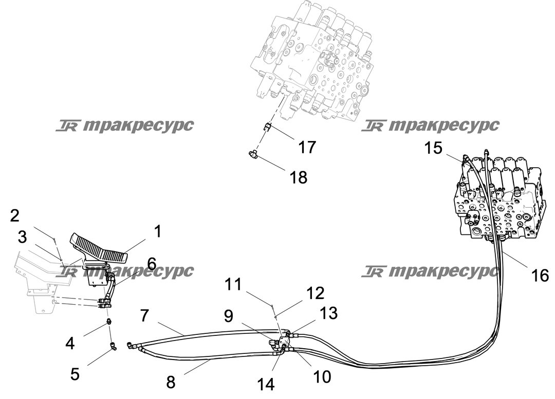 P000119012A2.png