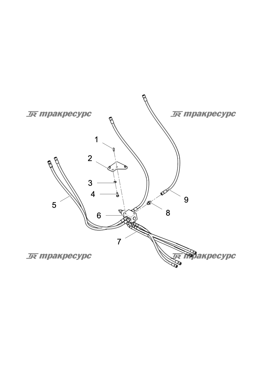 P000119034A2.png