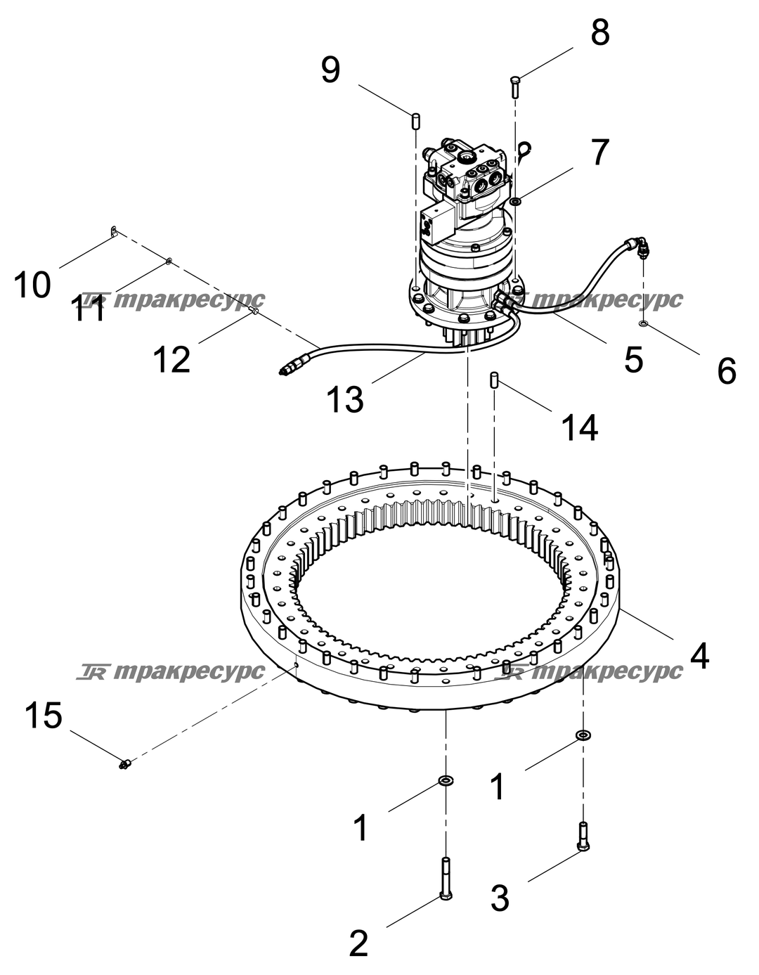 P000119115A2.png