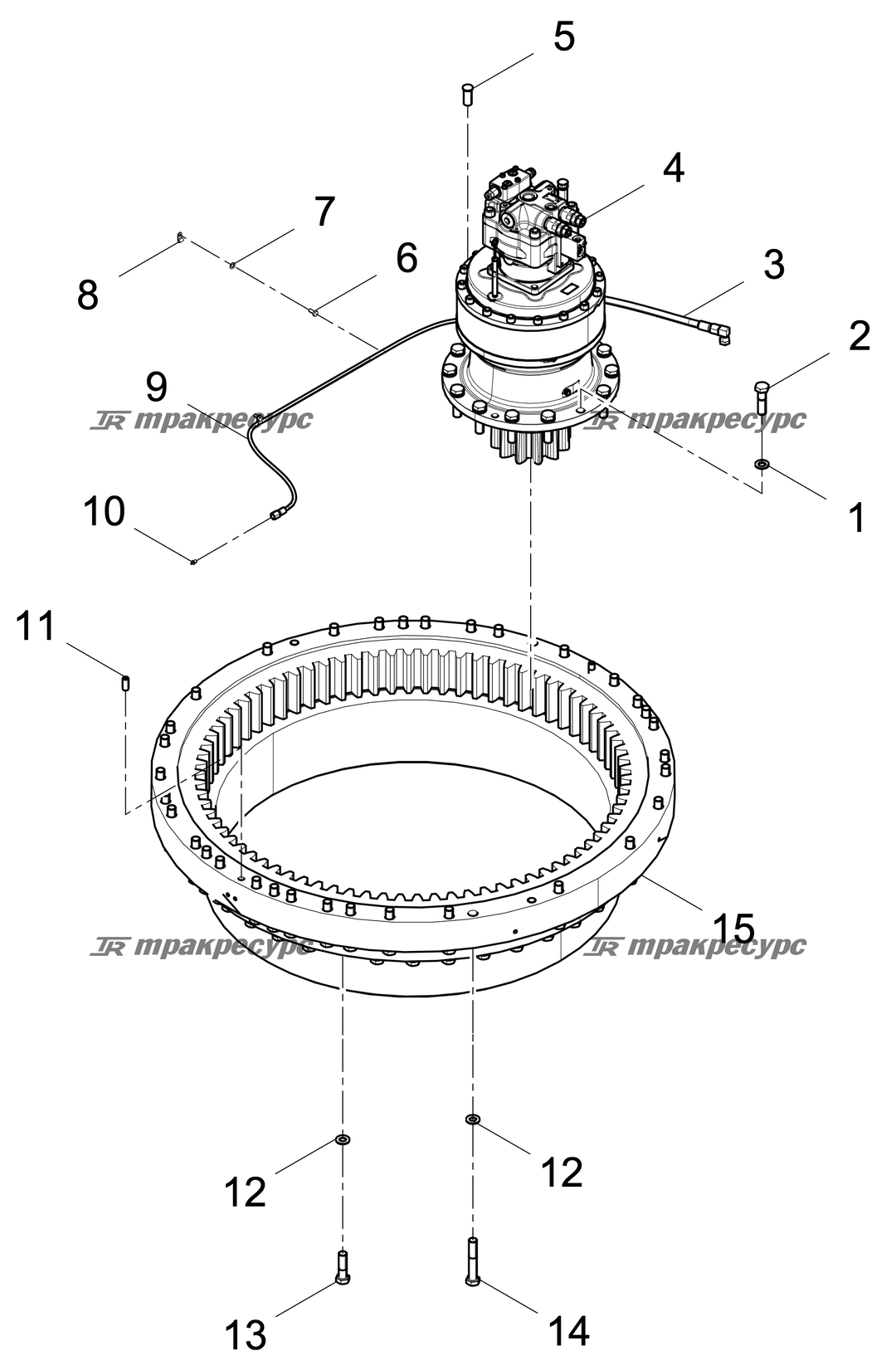 P000119116A2.png