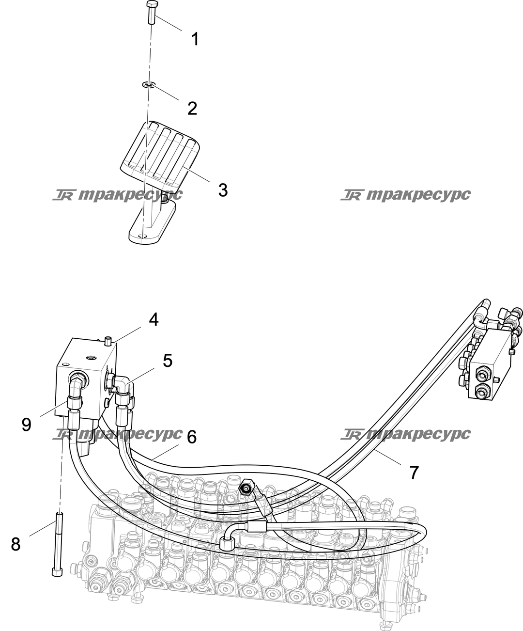 P000119338A2.png