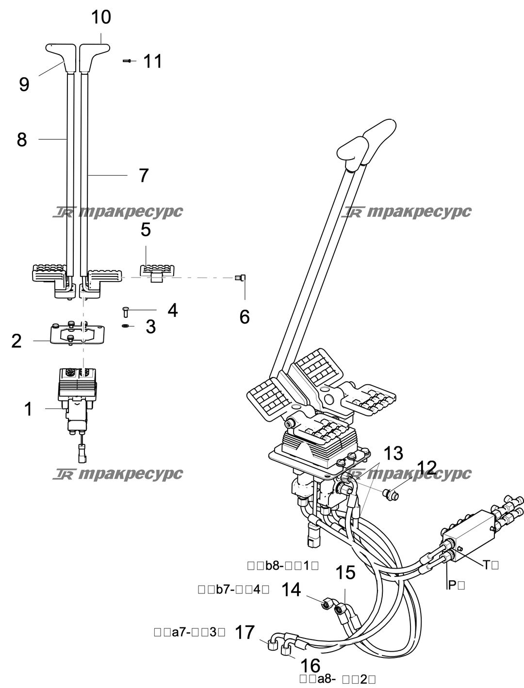 P000119352A2.png