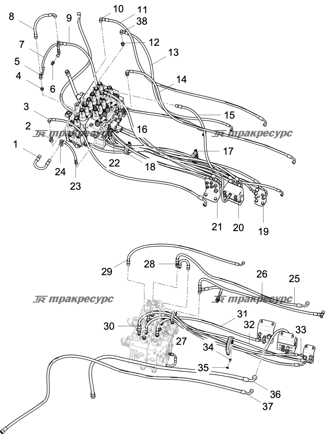 P000119384A2.png