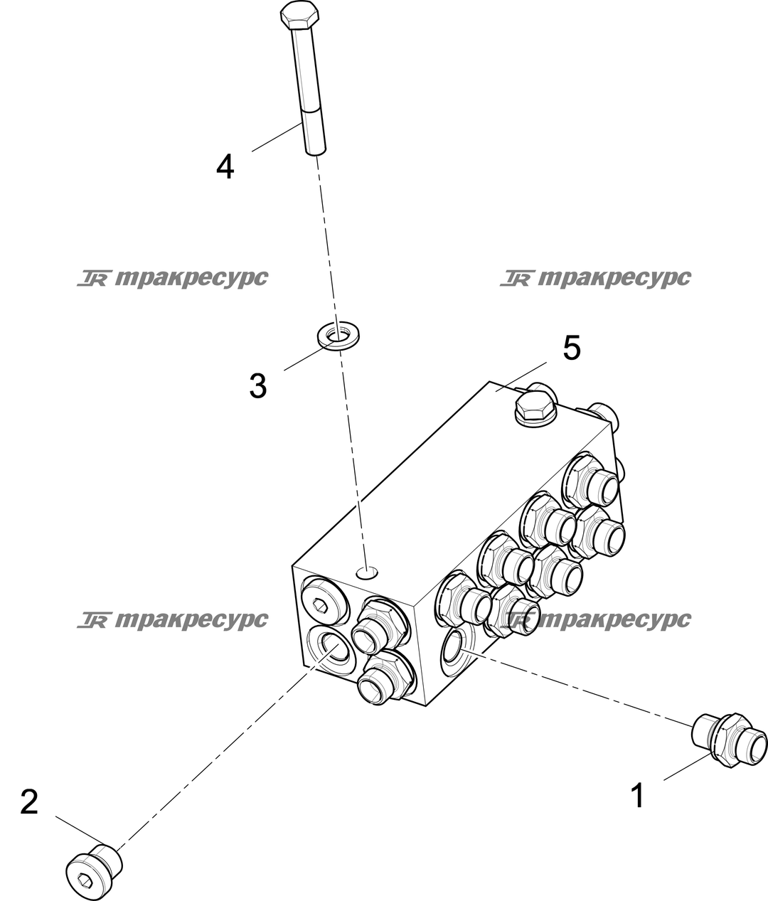 P000119563A2.png