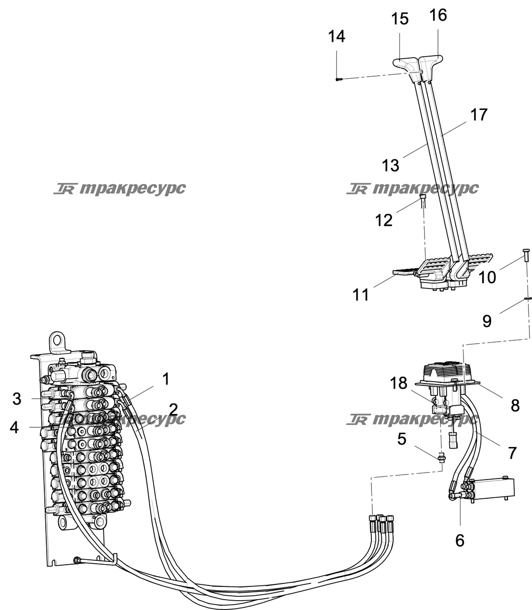 P000119567A2.png