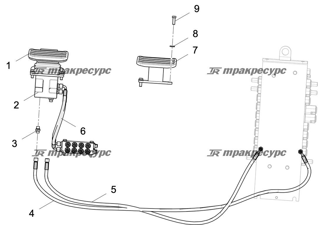 P000119568A2.png