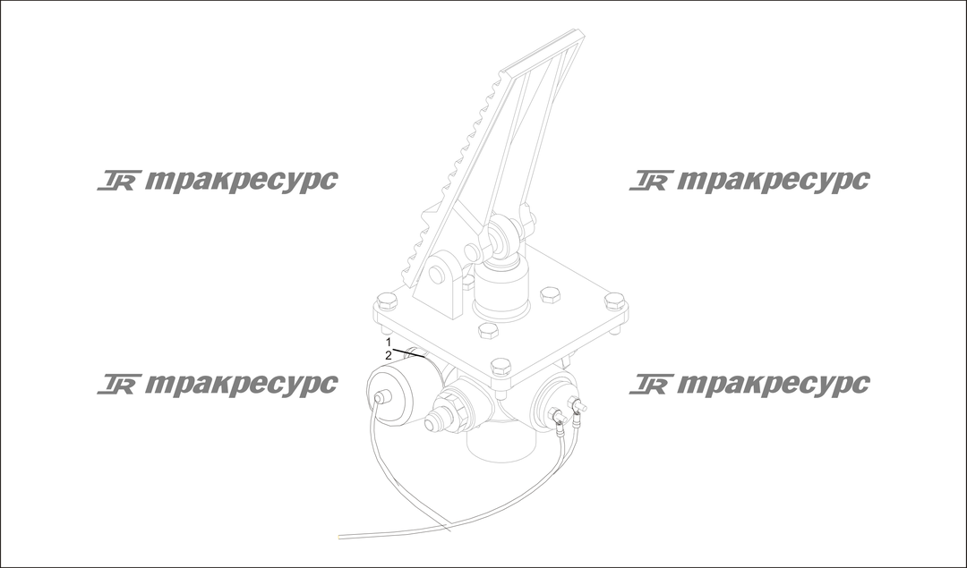 P000147.png