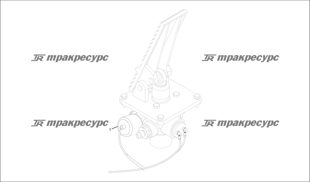 P000165.png