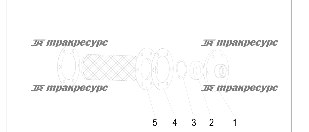 P000169.png