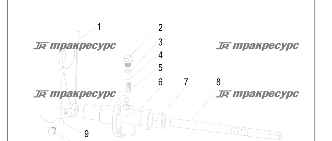 P000171.png