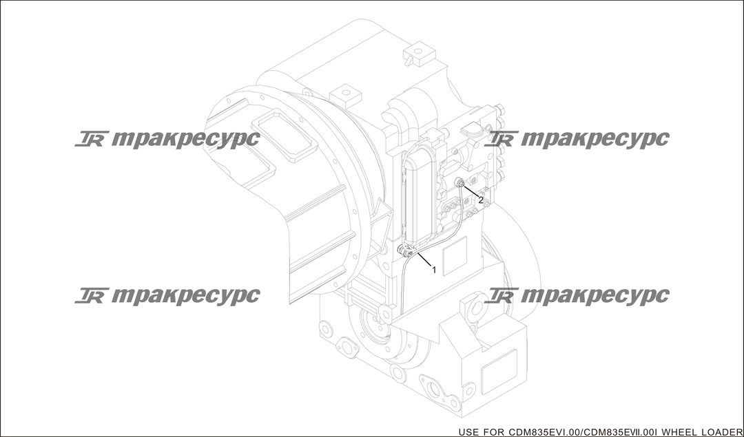 P000173.png