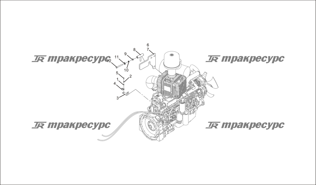 P000175.png