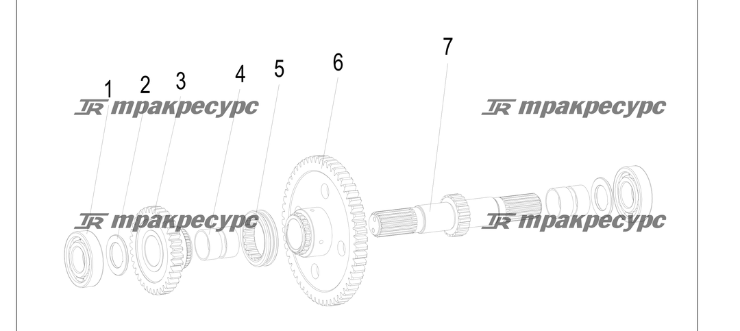 P000175.png
