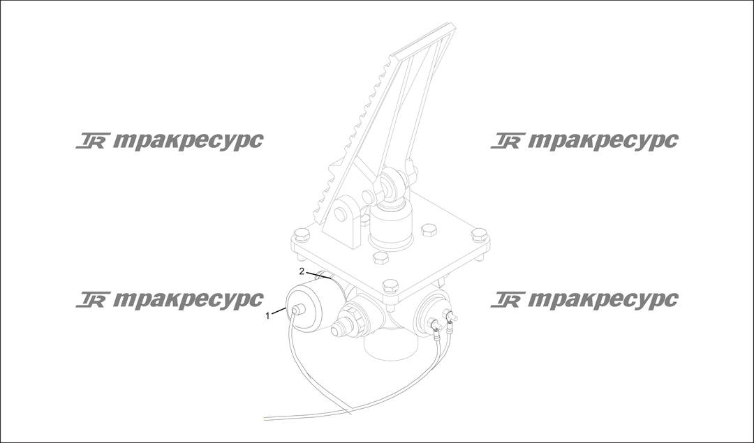 P000179.png