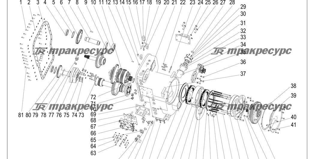P000181.png