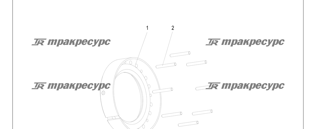 P000191.png