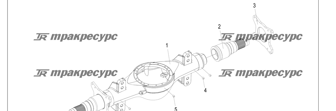 P000191.png