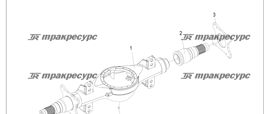 P000193.png