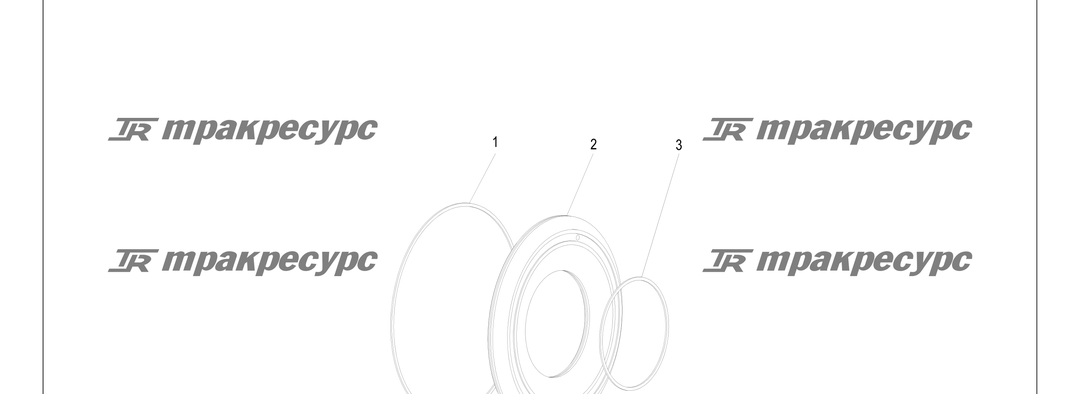 P000193.png