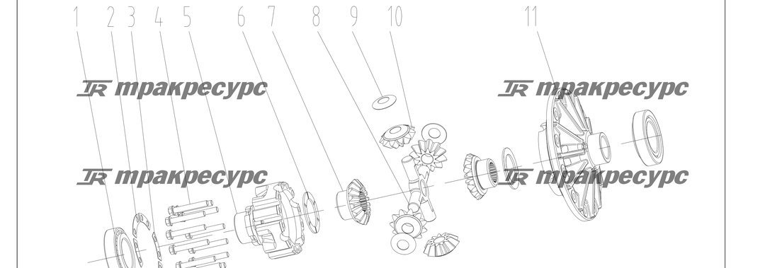 P000195.png