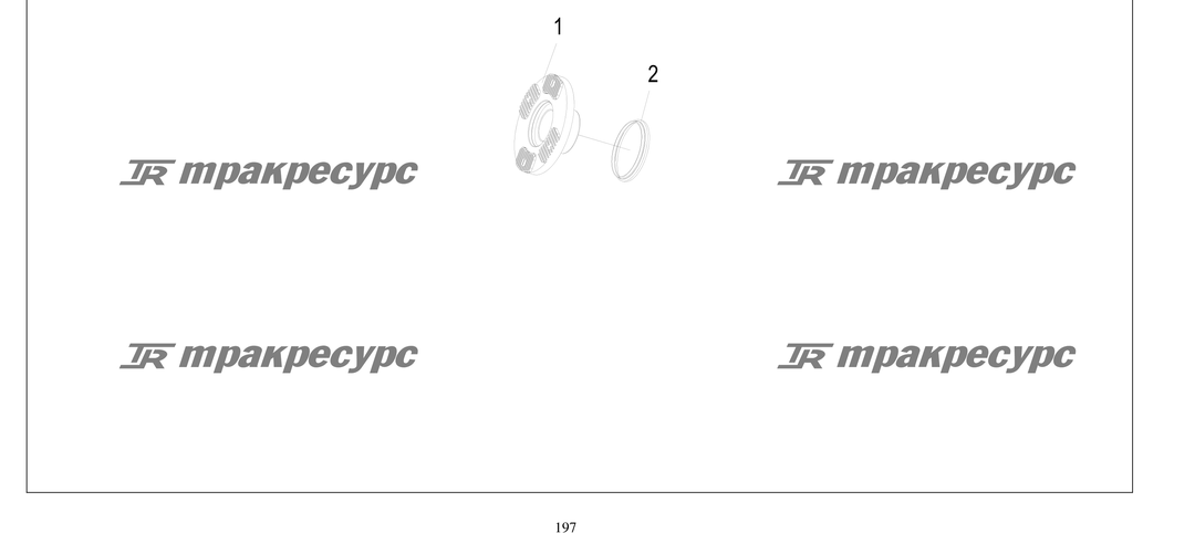 P000197.png