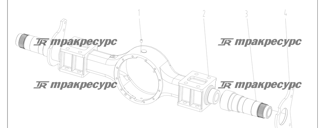 P000197.png