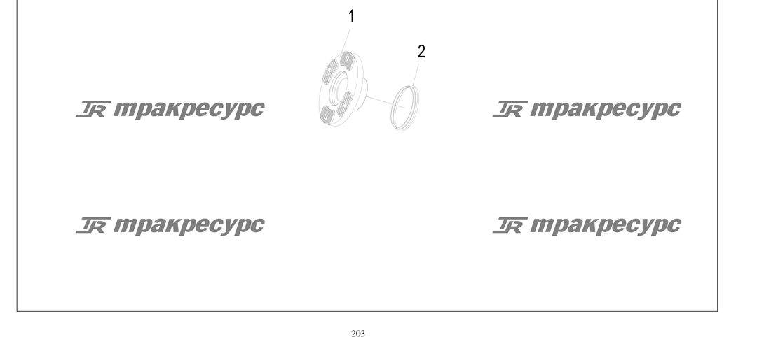 P000203.png