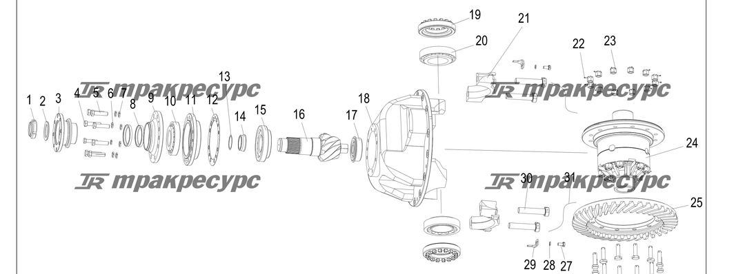 P000203.png