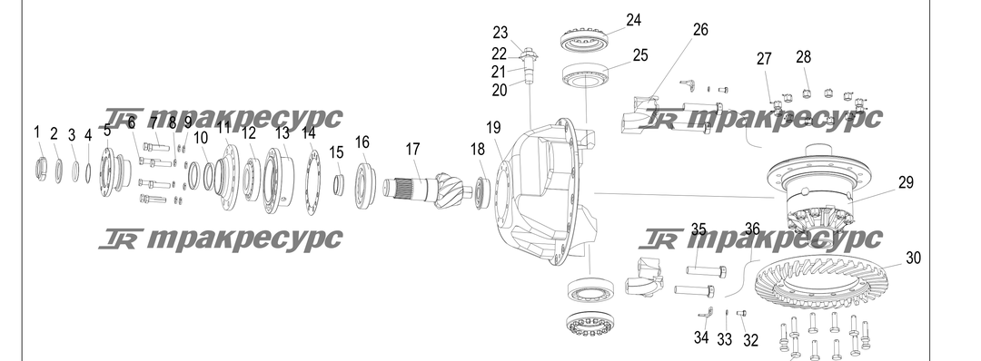 P000205.png