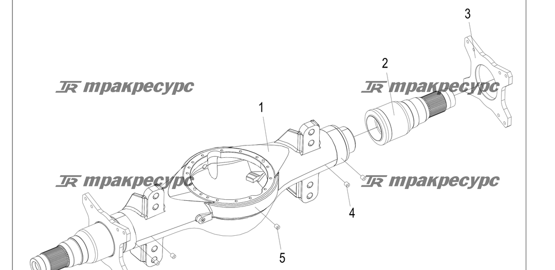 P000205.png
