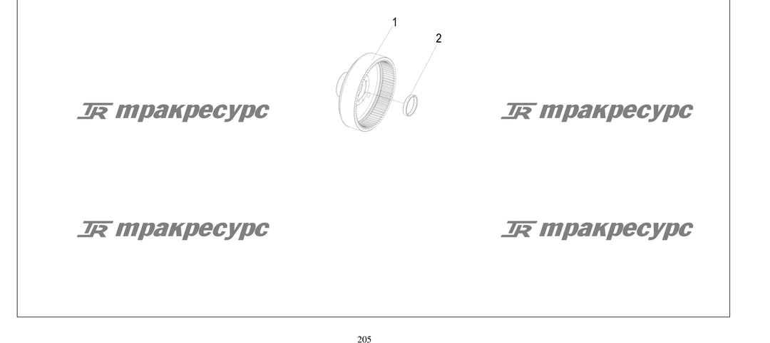 P000205.png