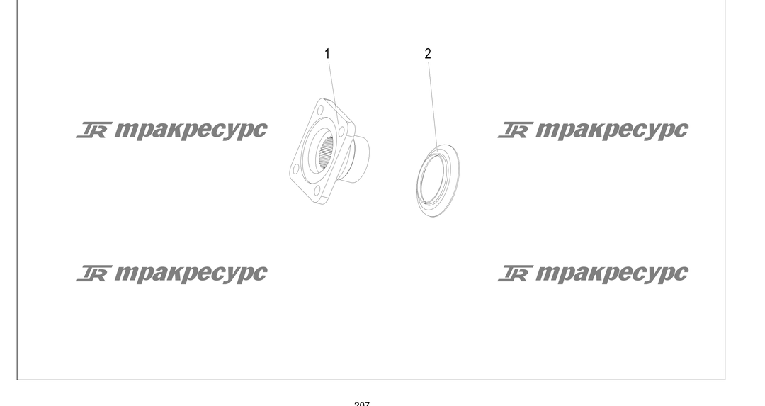 P000207.png